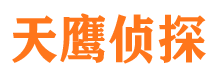 叠彩市侦探公司